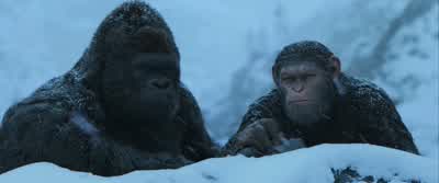 What's that? - War for the Planet of the Apes