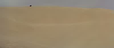 Wait. What's that? A transport. I'm saved. Over here! Hey! Hey! Help! Please help! - Star Wars: Episode IV   A New Hope