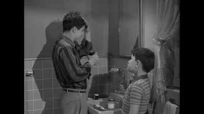 What's that, Wally? - Leave It to Beaver