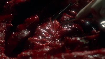 What's that? What is that? - The X-Files
