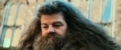 What's that you've got, Hagrid? - Harry Potter and the Chamber of Secrets