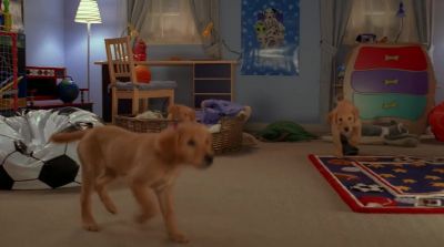What's the 4 1 1 - Air Buddies