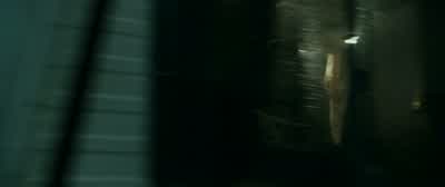 COYLE What's the big oneWhat's the big one Doc Is that like the maleHe didn't even give a shit about usJust wanted to kill that thingYou saw that rightGuys Did you see that HeHe grew an exoskeleton under his fucking skinWhat are they hunting each other - The Predator