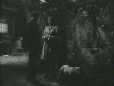 WHAT'S THE DOG
DOING HERE? - None But the Lonely Heart