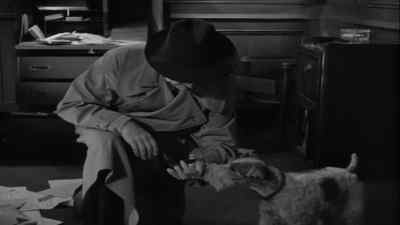 What's the excitement, boy? - Song of the Thin Man