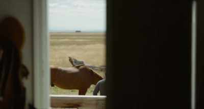 - What's the horse's name?
- Pete. - Lean on Pete