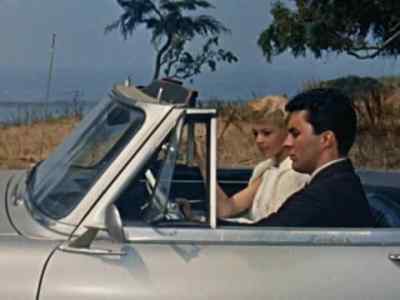 What's the idea? - Gidget