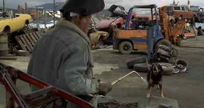 What's the matter, boy? - Man's Best Friend
