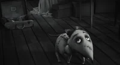 What's the matter, boy? - Frankenweenie