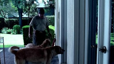 What's the matter, boys? - CSI: Crime Scene Investigation