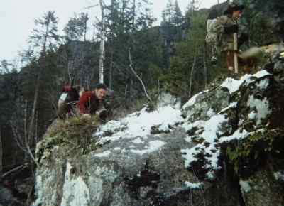 What's the matter Buck?.
That ain't nothing. - The Call of the Wild