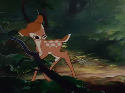 - What's the matter? - Bambi