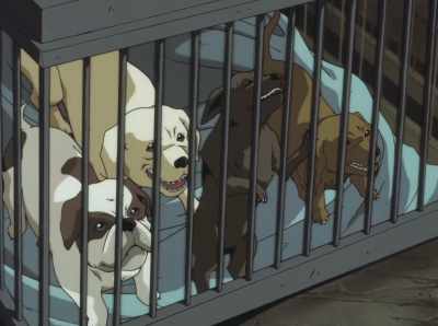 What's the matter?
Something's upsetting my babies! - Cowboy Bebop