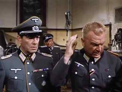 What's the matter? 
- Thief! - Miracle of the White Stallions