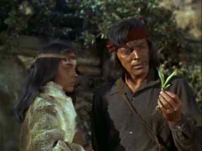 What's the mattler? - Apache