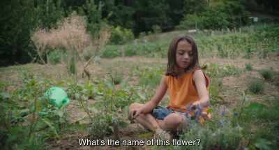 What's the name of this flower? - 20,000 Species of Bees