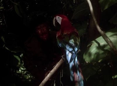 - What's the password?
- (Bird caIIs softIy) - Magnum, P.I.