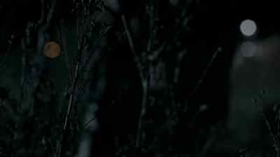 What's the problem? - Wallander