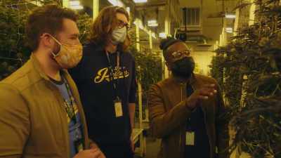 - What's the process from
after you cut this down - Wake & Bake with Dom Brown