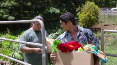 What's this? Must be for aunty. - Romance in Hawaii