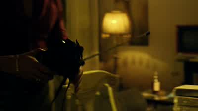 What's up, Lizard? - Narcos