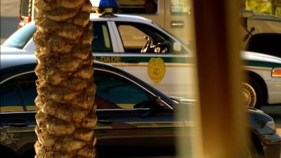 What's with Boa Vista ? - CSI: Miami
