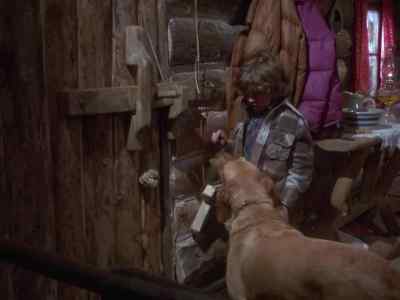 What's wrong Cluss? - Further Adventures of the Wilderness Family