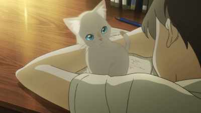 What's wrong, Hinode? - A Whisker Away