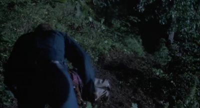What's wrong - Howling II:     Your Sister Is a Werewolf