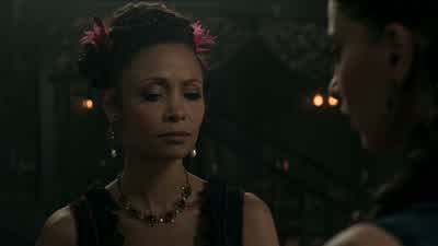 What's wrong? - Westworld