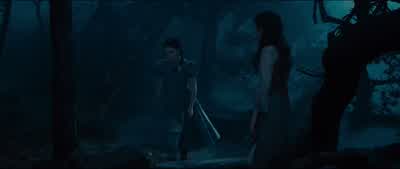 What's wrong? - Into the Woods