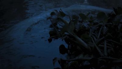 What's wrong? - La Llorona