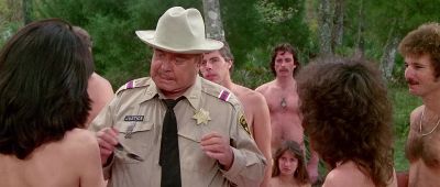 What's wrong Sheriff - Smokey and the Bandit Part 3