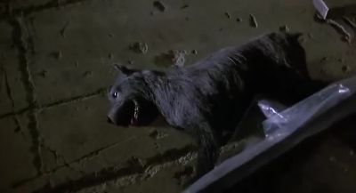 What's wrong with him - The Return of the Living Dead