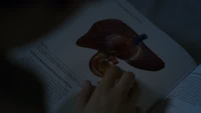 -What's wrong with him? - The Good Doctor