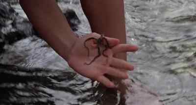 What's wrong with you? - The Blue Lagoon
