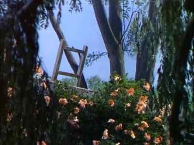 What's wrong with him ? - The Secret Garden