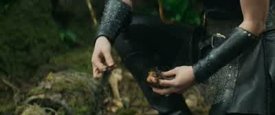 What've you found? - The Huntsman: Winter's War