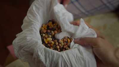 Wheat, peas, corn, sunflower, sorghum. - Ms Fisher's Modern Murder Mysteries