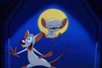 WHEE! - Pinky and the Brain