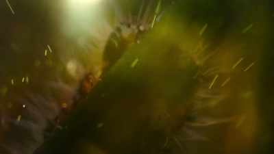 When a caterpillar takes a bite of grass, - Welcome to Earth