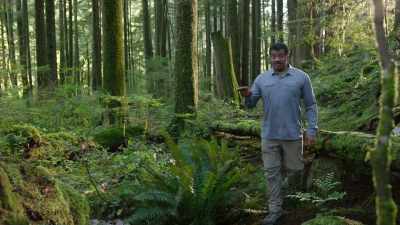 When a tree is
cut down in the forest, - Cosmos: Possible Worlds