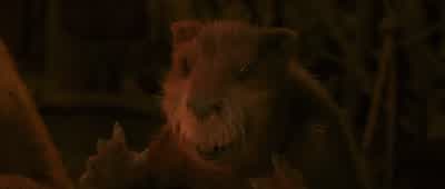 When Adam's flesh and Adam's bonesits at Cair Paravel in thronethe evil time will be over and doneThat doesn't really rhyme I know it don't - The Chronicles of Narnia: The Lion, the Witch and the Wardrobe