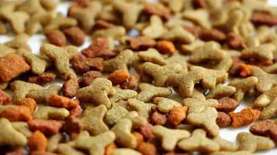 When your animal eats dry food, - Pet Fooled