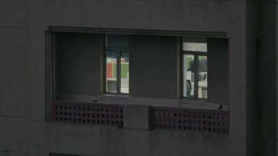 When we are being taught
about architecture, - A Brief History of the Future