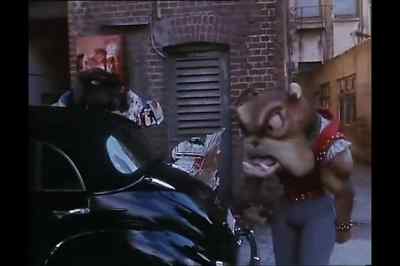 When are we due on the course? - Meet the Feebles