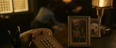 When we are no longer needed, - Citadel Honey Bunny