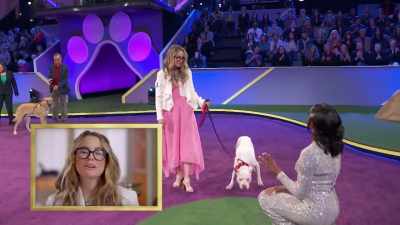 When we are out and about, - 2022 American Rescue Dog Show