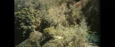 When they arrived on the
property after midnight - Once Upon a Time in Hollyweird