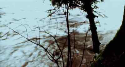 When it begins to rain, the human being
has a tendency to become retrospective. - Faces of Death